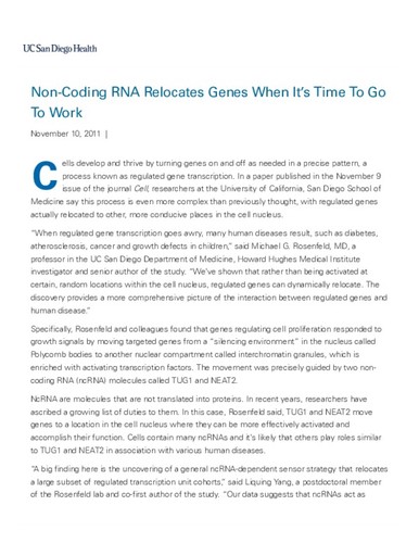 Non-Coding RNA Relocates Genes When It’s Time To Go To Work