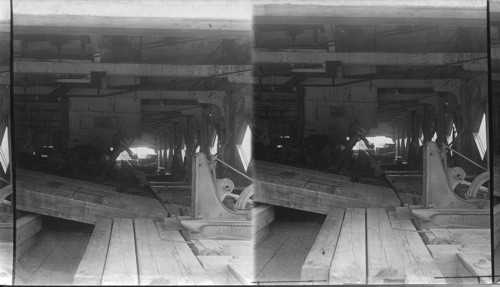 Sawing Match Timber, E.B. Eddy Co. Hull, Quebec