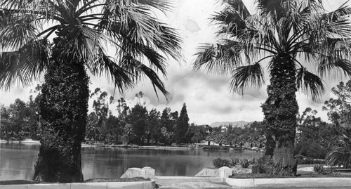 Lake and palms in Westlake Park
