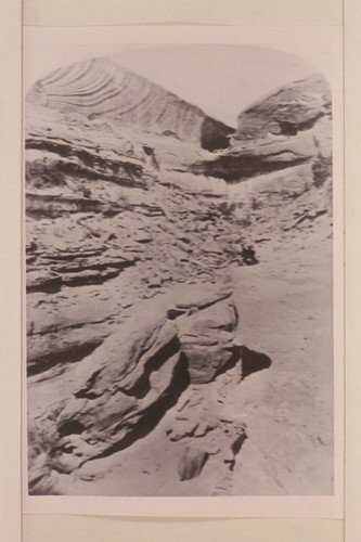 [print from half a stereo] "Views on the Colorado River," Glen Canon Series. No. 145: Oozing Spring in the Wall
