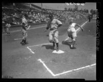 Frankie Baumholtz crossing home plate during Hollywood Stars vs Los Angeles Angels game, 1950