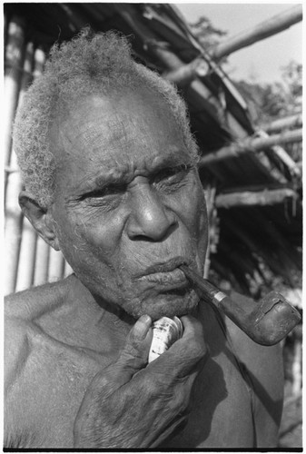 An elderly Kwaio man shaves by pulling out his whiskers with a clam shell
