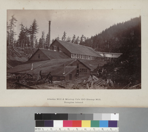 "Alaska Mining and Milling Co., 120 Stamp Mill," Douglas Island. [photographic print]