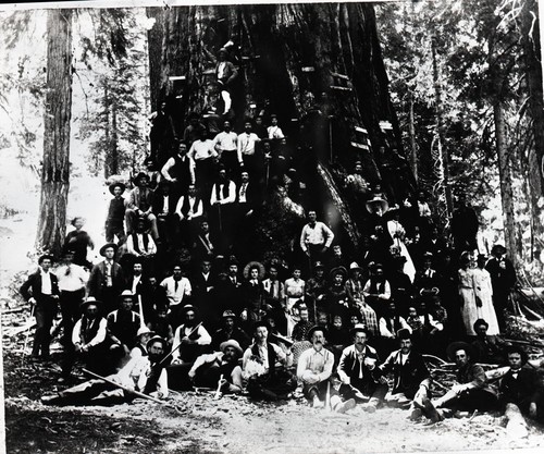 General Grant Tree, early group around tree