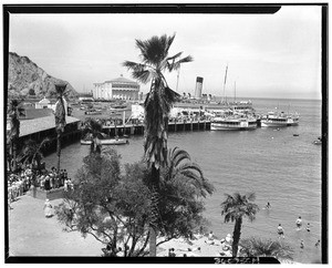 Hundreds of people lined up along the beach and on the pier of Avalon, showing a tall palm tree in the foreground, Catalina Island