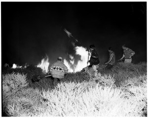 Palos Verdes brush fire, 1956