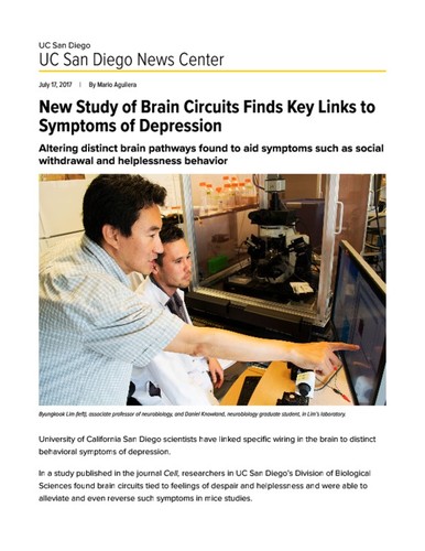 New Study of Brain Circuits Finds Key Links to Symptoms of Depression
