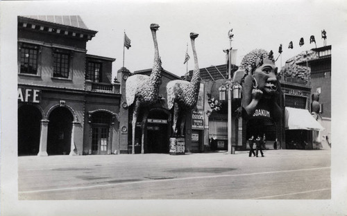 Crawston Ostrich Farm at the Zone, 1915 Panama-Pacific International Exposition [photograph]