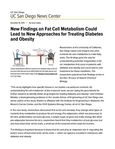 New Findings on Fat Cell Metabolism Could Lead to New Approaches for Treating Diabetes and Obesity