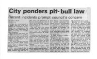 City ponders pit-bull law