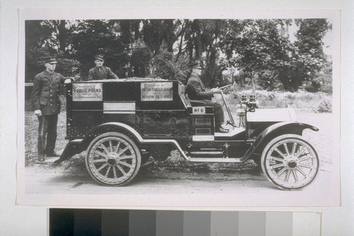 A more up-to-date pound wagon--an automobile--with a net to catch dogs. Ca. 1905