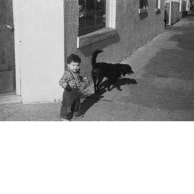 Little boy and dog standing on sidewalk