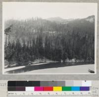 Redwood Region. Selective logging by Pacific Lumber Company on its Capwell-Thompson Creek area opposite McCann. View from county road east and across Eel River. Logged with tractors and trucked to railroad. Note cold deck to right. In process of logging. Cutting completed. (1" x 29). 7/15/42. E.F