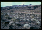 [Death Valley] (16 views)