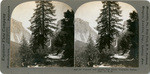 El Capitan and Bridal Veil Falls, Yosemite Valley, Cal., U. S. A., 5009