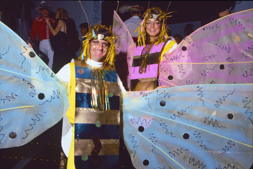 Bee costumes