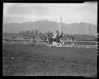 Race horse "Discovery" wins $100,000 Santa Anita Handicap, Arcadia, 1936