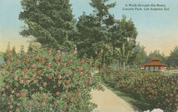 A walk through the roses, Lincoln Park, Los Angeles, Cal