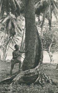 A fisherman with harpoon (Tahiti)