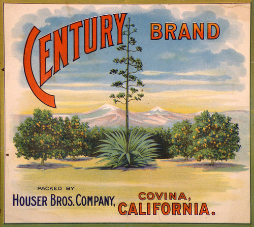 Century Label