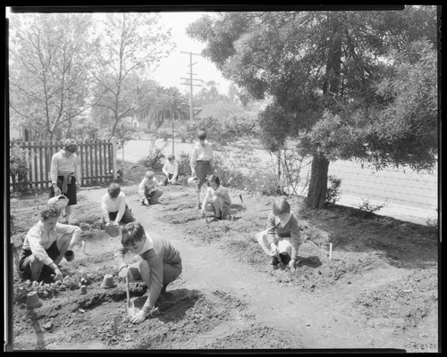 Garden project, Polytechnic Elementary School, 1030 East California, Pasadena. 1935