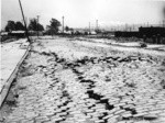 [Subsidence and fissures along street. Tents in distance (Columbia Square refugee camp?)]