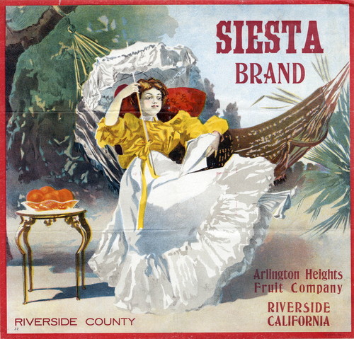 Crate label, "Siesta Brand." Arlington Heights Fruit Company. Riverside, Calif