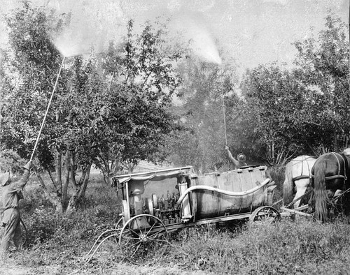 Agricultural Spray Rig, Exeter, Calif., 1920s