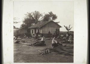 Pupils in Mangamba weaving mats
