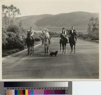 Malaga Cove, horse riders in north entrance to Palos Verdes