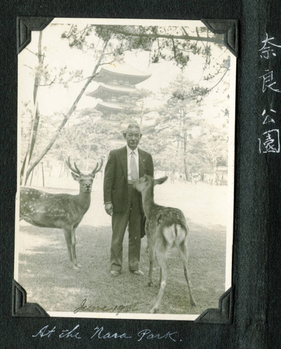 Tanjiro Saito at Nara Park