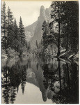 [Yosemite views] (16 views)
