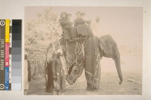 [Phoebe Apperson Hearst on elephant.]