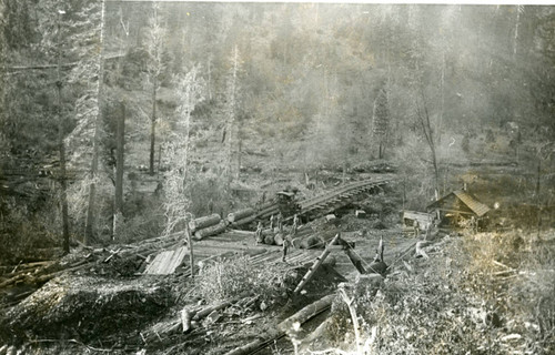 Log Landing West Branch