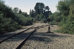 Petaluma & Santa Rosa Railroad railroad tracks near the Laguna de Santa Rosa near Sebastopol, Calif., Oct. 1985