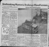 Unthinking humans endanger flood levees