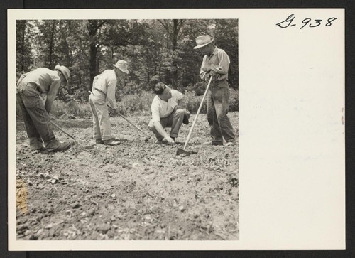 Mr. Lewis Barton, owner of the Clark Farm in Haddonfield, New Jersey, talks with several resettled farmers who are working
