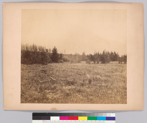 [Approach to the boundary pass, Rocky Mountains - left portion of three-part panorama.]