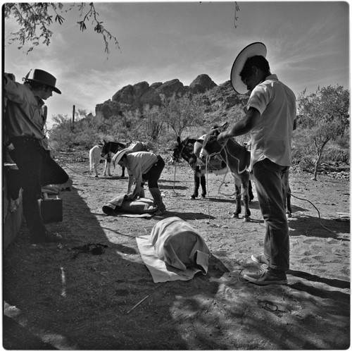 Packing burros at Rancho La Trinidad in arroyo of Mulegé