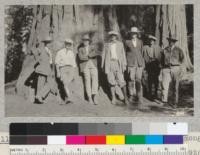 Farm Advisor and Farm Bureau group among big trees on Redwood Mountain near boundary of Whitaker's Forest. Oct., 1926