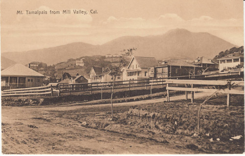 View from the intersection of Sunnyside Avenue and Hill Street, Mill Valley, 1907 [postcard]
