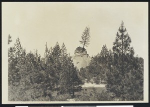 The Lone Pine in Nevada City, ca.1930
