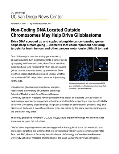 Non-Coding DNA Located Outside Chromosomes May Help Drive Glioblastoma