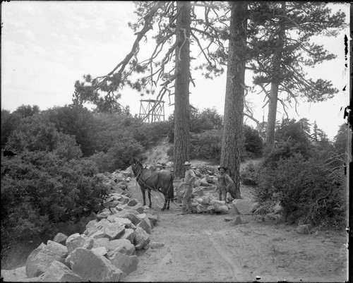 Construction workers and a horse harvesting rocks in 'Stone Alley', Mount Wilson Observatory
