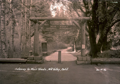 Entrance gate to Muir Woods National Monument, 1935 [postcard negative]