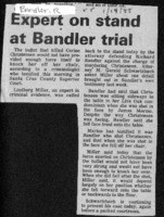 Expert on stand at Bandler trial