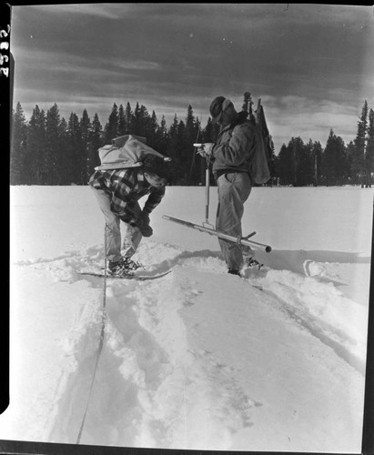 Big Creek snow survey. Close up of men reading depth and weight of snow in snow