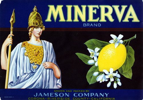 Crate label, "Minerva Brand." Grown and Packed by Jameson Company, Corona, Riverside Co., Calif