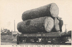 "Three Log" load of Sugar Pine at the Mill Pond No. 28