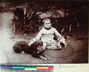 Bertram Jensenius with a dog and a little puppy, Madagascar, ca. 1906